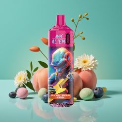 JNR Alien 10000 Puffs Vape Jetable Pêche Myrtille Bonbon avec 850mAh, Charge Rapide Type-C et LED RGB