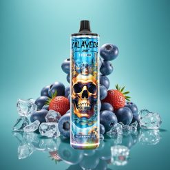 JNR Calavera 11000 Puffs Vape Jetable Blueberry Glacé avec Port Type-C, Batterie 850 mAh et E-Liquide 21ml