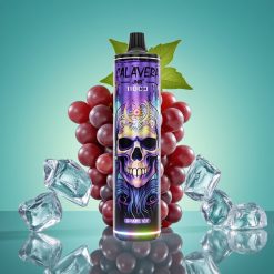 JNR Calavera 11000 Puffs Vape Jetable Glace Raisin avec Port Type-C, 850 mAh, 21ml E-Liquide, Coil Mesh 1.0ohm