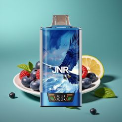 JNR Falcon Pro 28000 Vape Jetable Myrtille Framboise Acidulée – 30ml, 950mAh, 28000 Puffs, 5% Nicotine, Écran Intelligent, Double Mesh Coil, USB Type-C, MTL