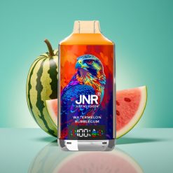 JNR Falcon X 18000 Puffs Vape Jetable Pastèque Bubblegum - 24ml/750mAh - Dual Mesh Coil & Dual Core - Affichage Digital - Charge Type-C Rapide - 0%/2%/5% Nicotine