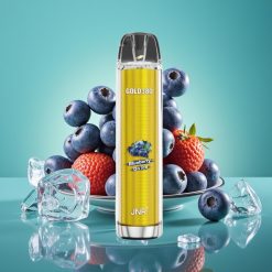 JNR Gold380 6000 Puffs | 1500mAh | 13ml | Myrtille Glacée Vape Jetable