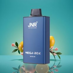 JNR Mega Box 25000 Puffs Vape Jetable Mr Bleu – 30ml E-liquide, 850mAh, Double Mesh Coil, Charge Rapide Type-C