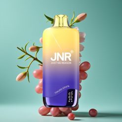 JNR Rainbow 10500 Puffs Vape Jetable Cerise Raisin avec 600mAh, Résistance Mesh 0.8ohm et 18ml de E-Liquide