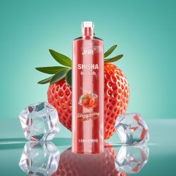 JNR Shisha Hookah 12000 Puffs Vape Jetable Fraise Glace - 750mAh, 24ml, 0.6 Ohm Mesh Coil, Type-C