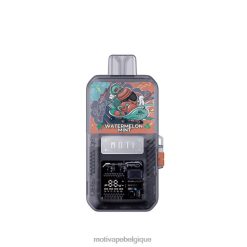 MOTI Vape Flavors Belgique DNJ0H78 | MOTI Go Pro pod+appareil jetable menthe pastèque